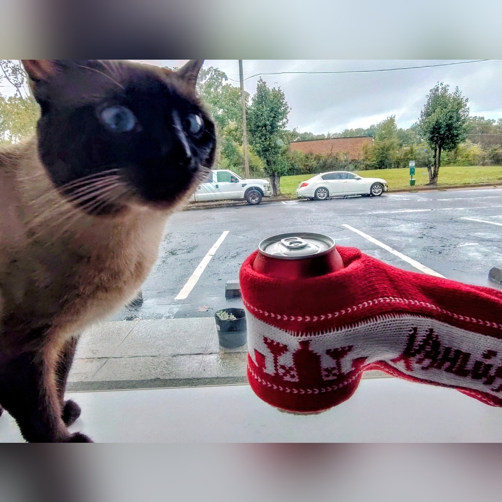 Kahlua hand mitten drink koozie
